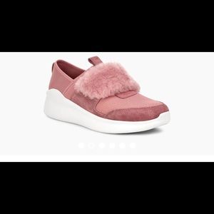Ugg sneakers